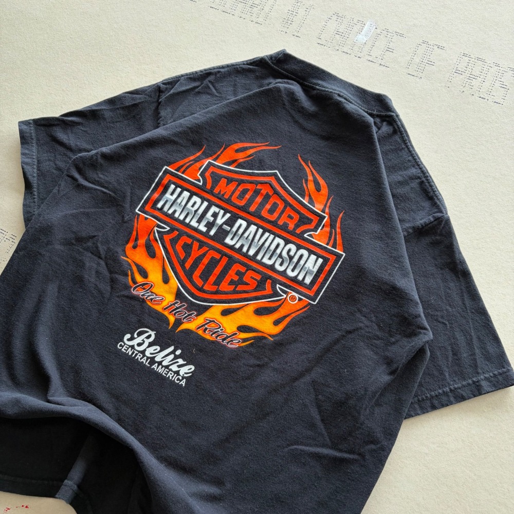 Vintage Flame hit Harley Davidson Belize T-shirt One Hot Ride Flames